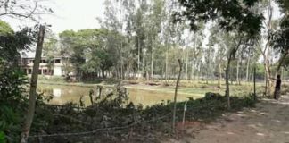 লোহাগাড়ায়